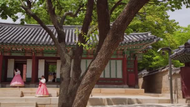 Changdeokgung Palace Seoul Sydkorea — Stockvideo