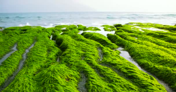 Luchtfoto Van Groene Reef Lao Mei Een Zonnige Dag Taiwan — Stockvideo