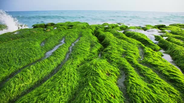 台湾新台北阳光明媚的一天 老梅的绿礁空中拍摄 — 图库视频影像