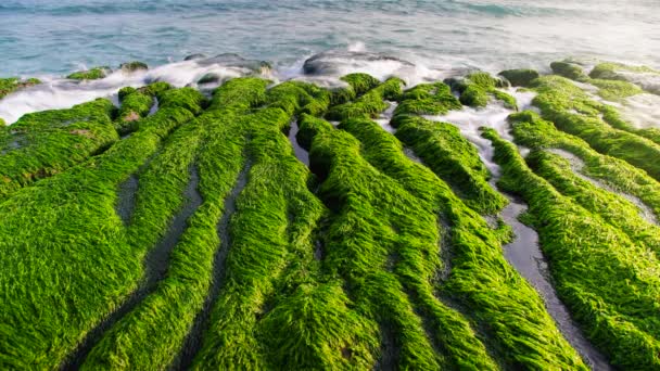 Taipe 台湾阳光明媚的一天 在老梅的绿礁空中拍摄 — 图库视频影像