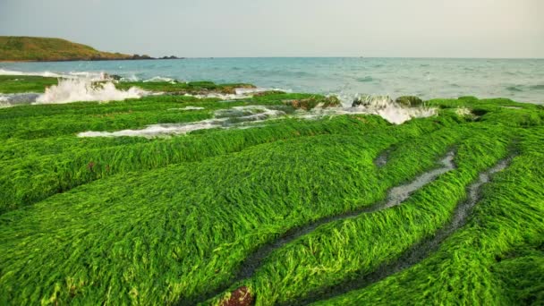 Aerial Shot Green Reef Lao Mei Sunny Day Taiwan New — Stock Video