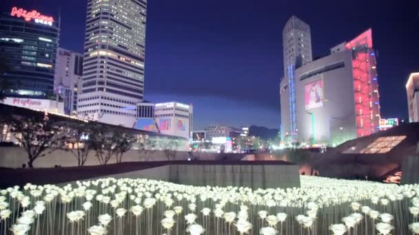 Seoul June Led Roses Flower Garden Dongdaemun Design Plaza Ddp — Stock Video