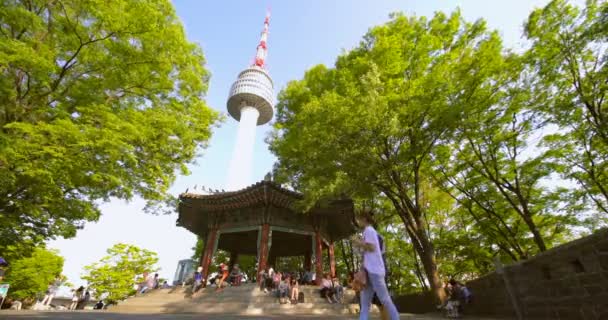 Gente Caminando Por Parque Namsan Torre Seúl Seúl Corea Del — Vídeo de stock