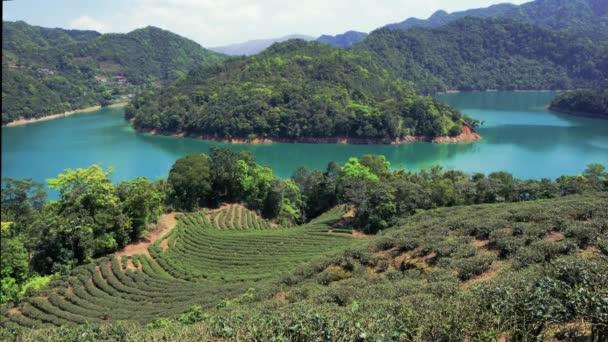 Foto Aérea Del Paisaje Plantaciones Taipei Taiwán — Vídeo de stock