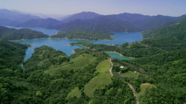 Fotografia Aérea Plantações Chá Paisagem Taipei Taiwan — Vídeo de Stock