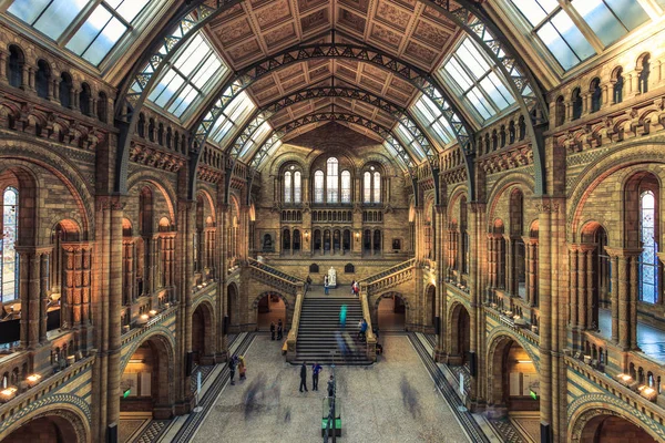 Londres Reino Unido Abril Vista Interior Del Museo Historia Natural — Foto de Stock