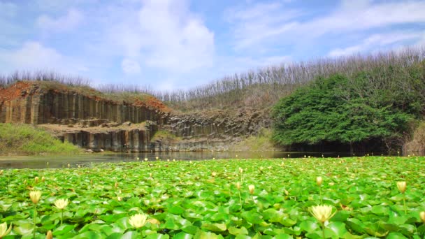 Facteur Articulation Cylindrique Dans Basalte Dans Zone Panoramique Nationale Penghu — Video