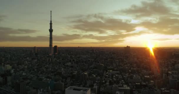 Zburând Peste Tokyo Peisajul Urban Tokyo Japonia — Videoclip de stoc