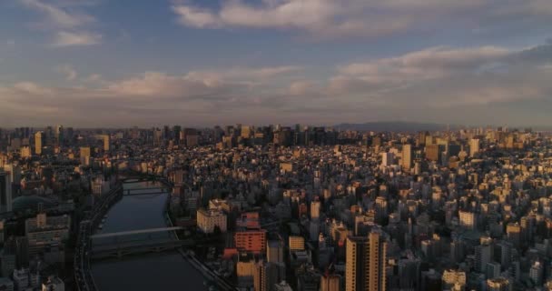 Voando Sobre Tóquio Paisagem Urbana Tóquio Japão — Vídeo de Stock