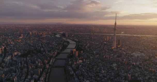 Zburând Peste Tokyo Peisajul Urban Tokyo Japonia — Videoclip de stoc