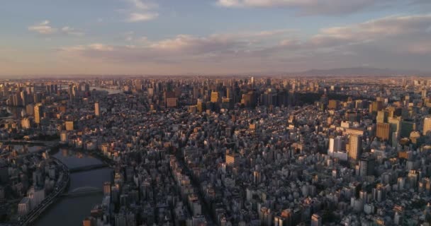 Voando Sobre Tóquio Paisagem Urbana Tóquio Japão — Vídeo de Stock