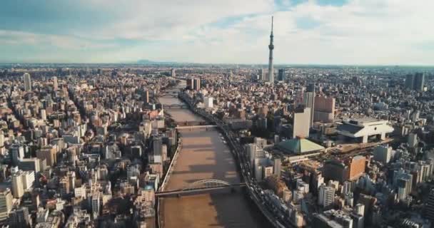 東京の街並みを飛び回る — ストック動画