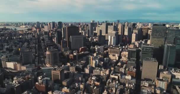 東京の街並みを飛び回る — ストック動画