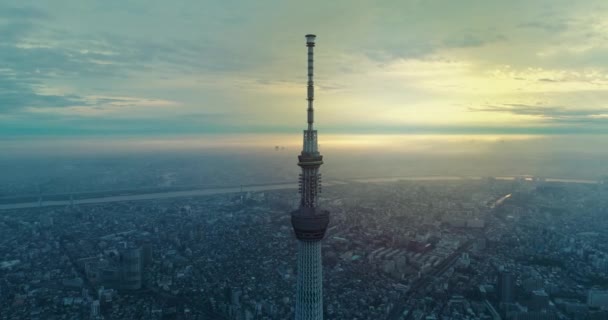 Vliegen Tokio Tokio Japan — Stockvideo