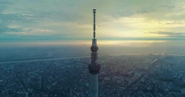 Vliegen Tokio Tokio Japan — Stockvideo