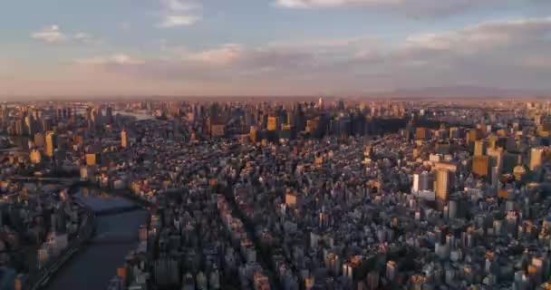 Flyg Över Tokyo Tokyo Stadslandskap Japan — Stockvideo