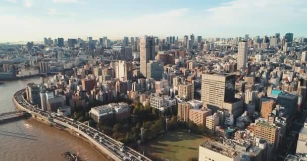 Volando Sobre Tokio Tokio Paisaje Urbano Japón — Vídeo de stock