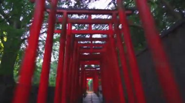 Nezu-jinja Tapınağının Zamanı