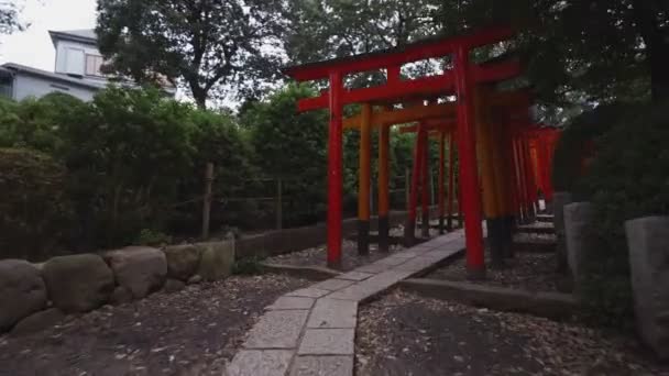Nezu Jinja Shrine Established 1705 One Oldest Worship Places Tokyo — Stock Video
