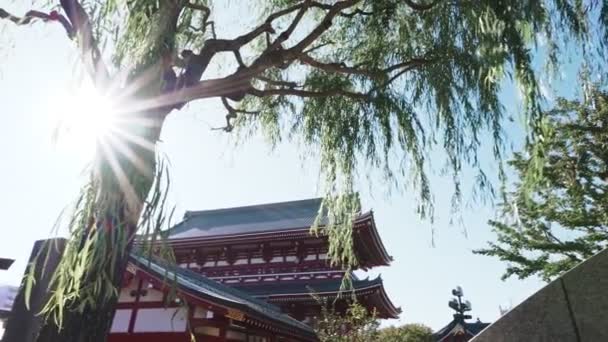 Templo Sensoji Zona Asakusa Tokio Japón — Vídeo de stock