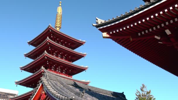 Asakusa Bölgesindeki Sensoji Tapınağı Tokyo Japonya — Stok video