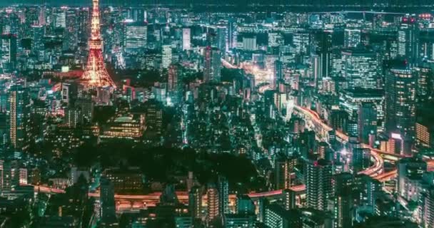 Tokiói Városkép Éjjel Japán — Stock videók