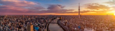 Tokyo 'nun hava görüntüsü şafakta yükselişte, Japonya