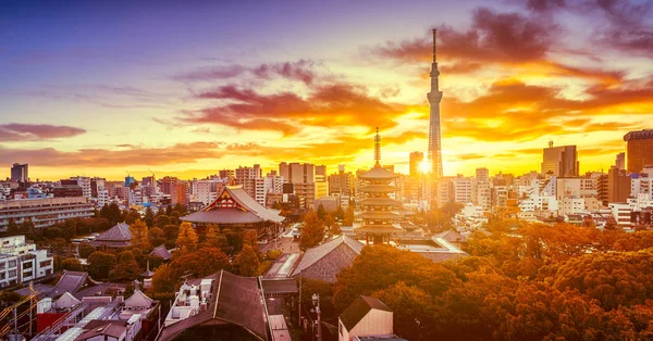 Panorama Van Tokio Skyline Met Senso Tempel Tokio Skytree Tokio — Stockfoto