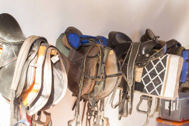 Wall of saddlery filled clipart
