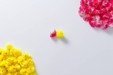 Çiçek kompozisyon. Çerçeve pembe ve sarı çiçek yaptı.