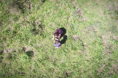 Anne ve oğlu alanında çiçek toplama. Havadan görünümü