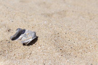 Eski soda sahilde olabilir 