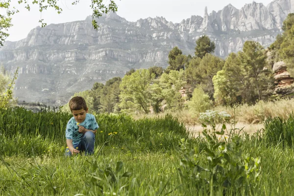 Kleines Kind pflückt Blumen vor einem großen Berg. — Stockfoto