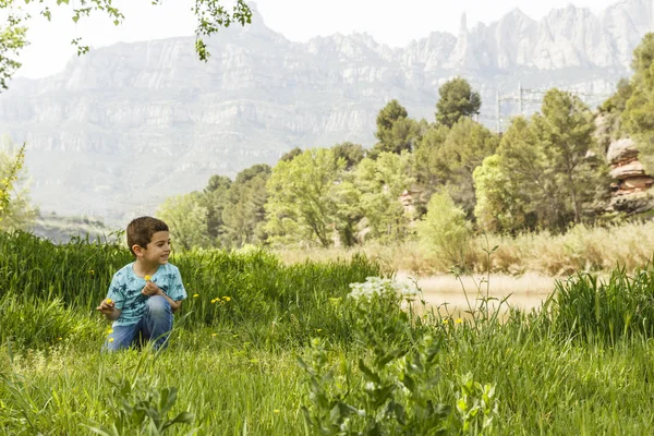 Kleines Kind pflückt Blumen vor einem großen Berg. — Stockfoto