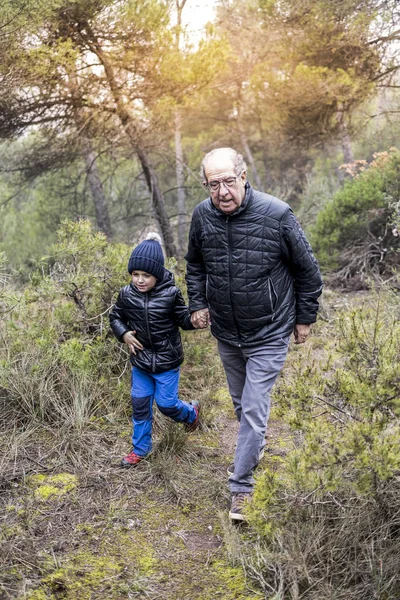 Großvater und Enkel an einem nebligen Tag im Wald — Stockfoto