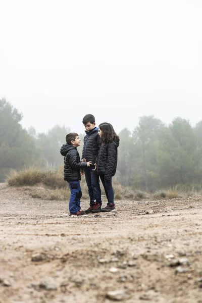 Drie kinderen midden in een mistig veld. — Stockfoto