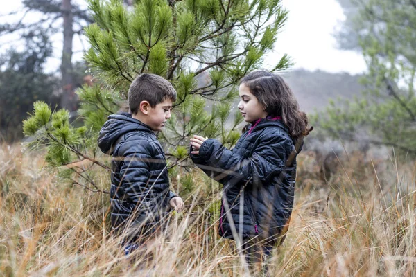 Zwei Kinder mitten im Wald an einem nebligen Tag — Stockfoto