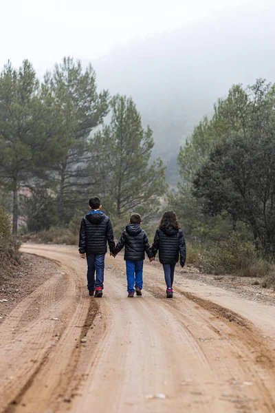 Three children holding hands on a foggy road — Stock Photo, Image