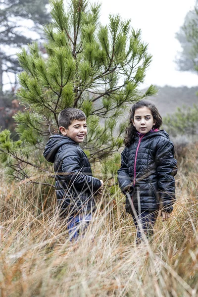 Zwei Kinder mitten im Wald an einem nebligen Tag — Stockfoto