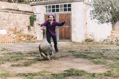 Küçük kız bir çiftlikte bir kazı korkutuyor.