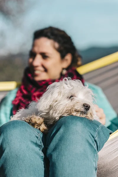 Middle aged woman with a Maltese dog — Stock Photo, Image