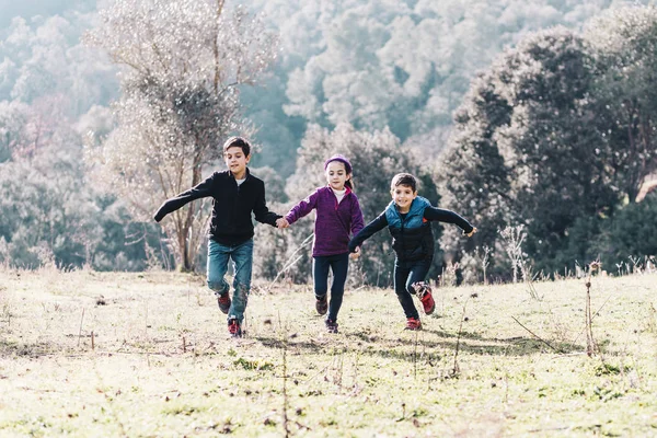 Drie leuke kinderen rennen gooien een weide — Stockfoto