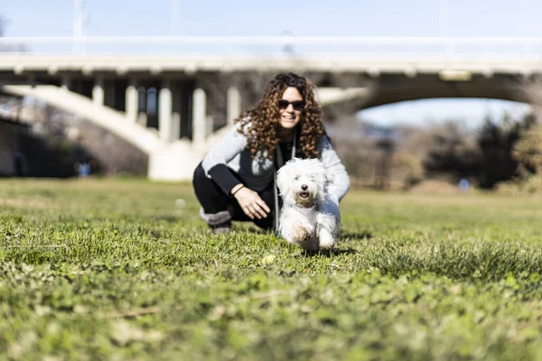 Woman playing with a little dog on a park — Stock Photo, Image
