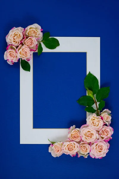 Pink roses flower border and white frame for valentine background and wedding card with empty space, classic blue background, color of the year