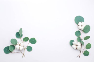 Beyaz arka planda okaliptüs dalları ve pamuktan yapılmış okaliptüs çerçevesi. Düz yerde, üst tarafta. Boşluğu kopyala