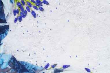 Bahar çiçekleri. Mavi muscari bahar çiçekleri beyaz grunge taşından arka planda üzüm sümbülü. Üst görünüm, düz görünüm, kopyalama alanı