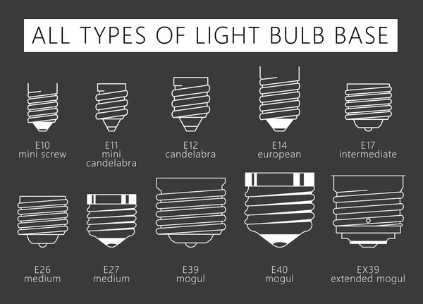 Type of Light Bulb Base — стоковый вектор