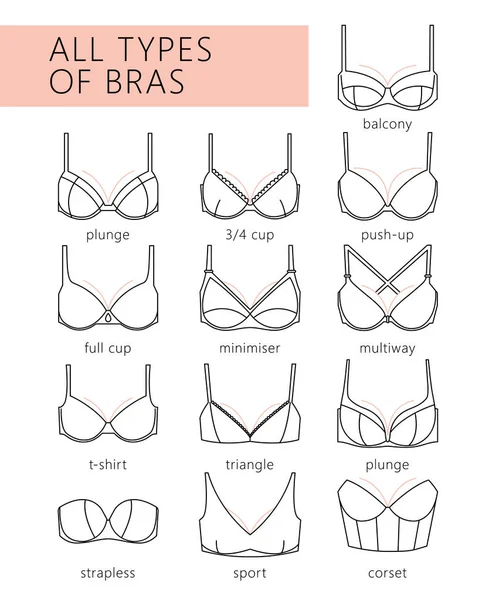 Types of bras — Stock Vector