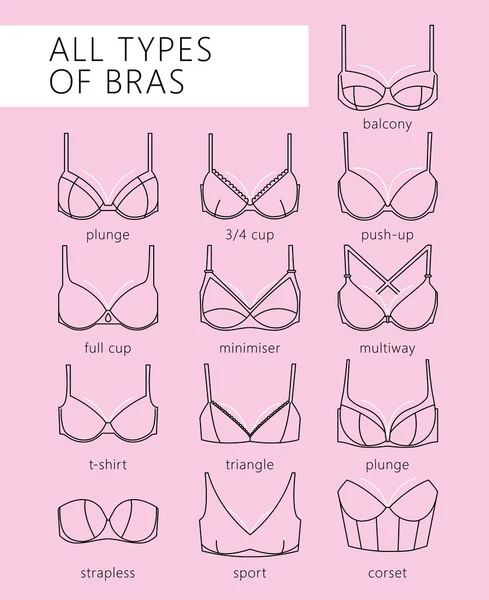 Types of bras — Stock Vector