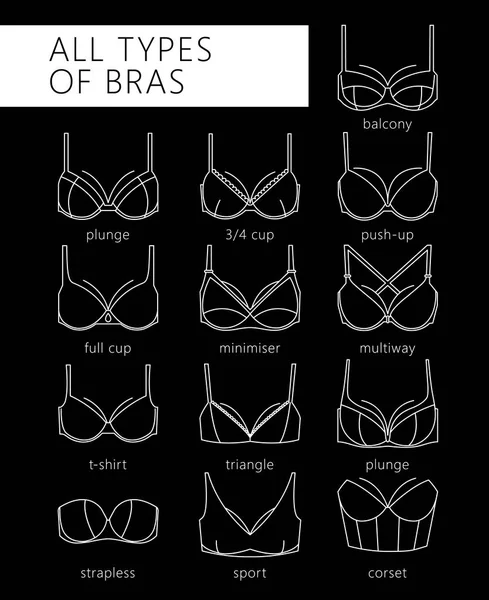 Types of bras — Stock Vector